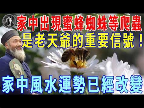 家裡有蜂窩代表|【家裡有蜂窩代表什麼】家裡有蜂窩代表什麼，原來有這樣的意思。